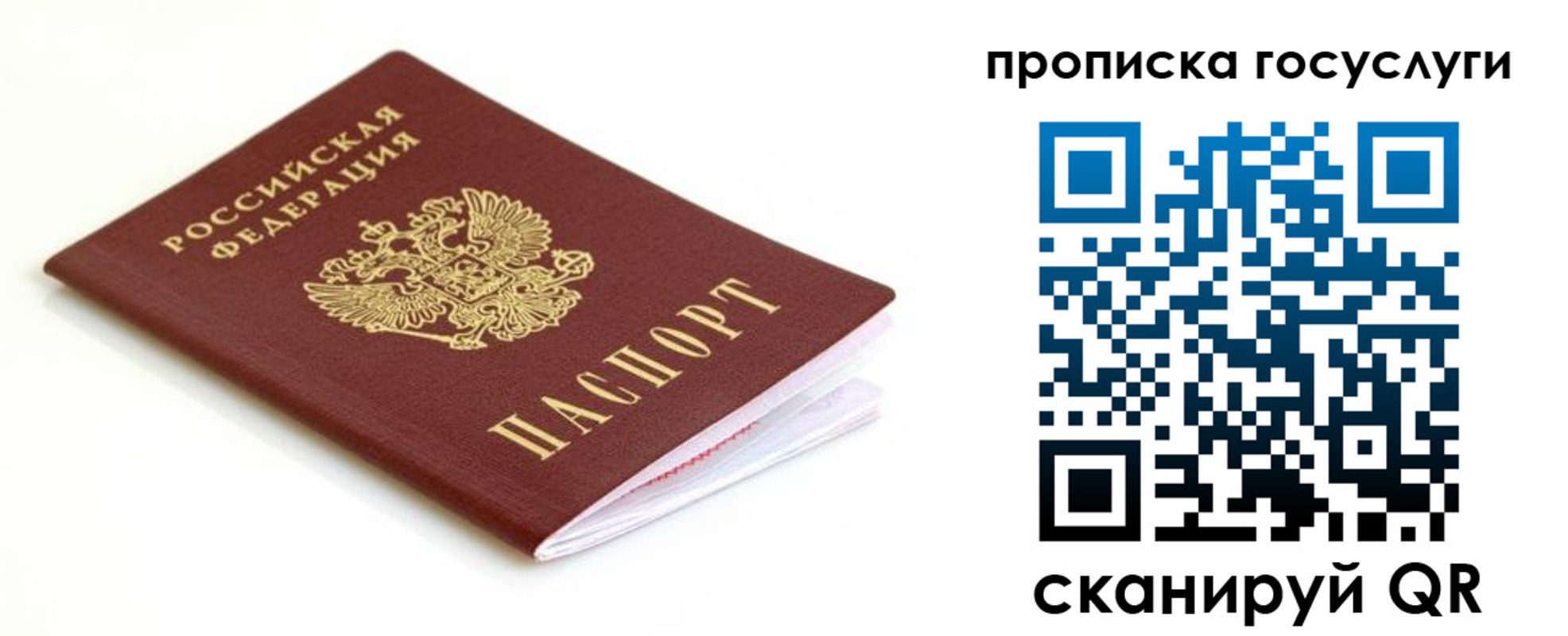 временная регистрация надежно в Приморском крае